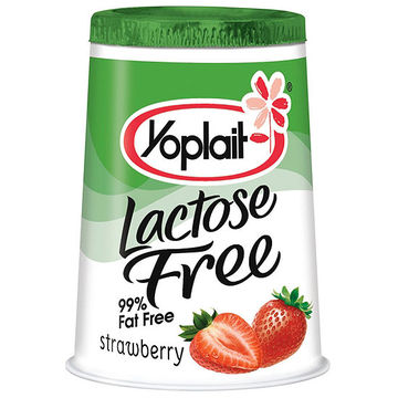 Organic dairy free yogurt brands